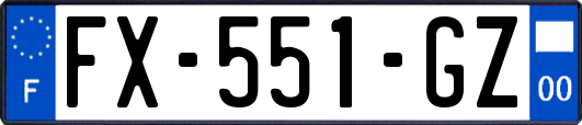 FX-551-GZ