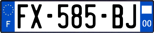 FX-585-BJ