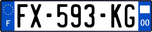 FX-593-KG