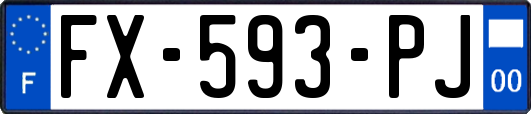 FX-593-PJ