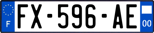 FX-596-AE