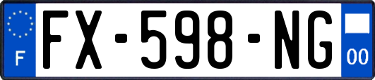 FX-598-NG