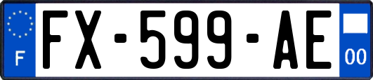 FX-599-AE