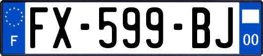 FX-599-BJ