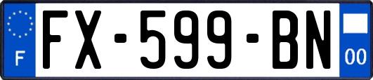 FX-599-BN