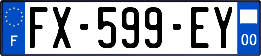 FX-599-EY