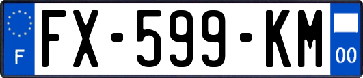 FX-599-KM
