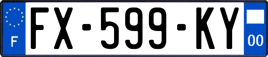 FX-599-KY