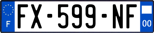FX-599-NF