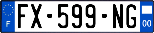 FX-599-NG