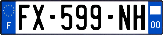 FX-599-NH