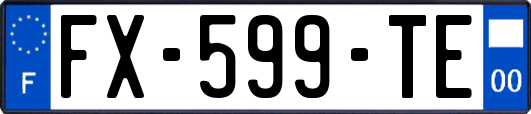 FX-599-TE