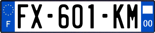 FX-601-KM
