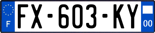 FX-603-KY