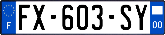 FX-603-SY