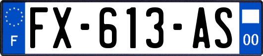 FX-613-AS
