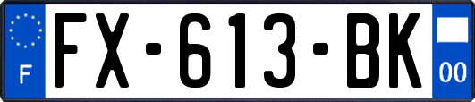 FX-613-BK