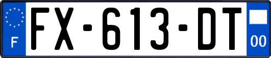 FX-613-DT