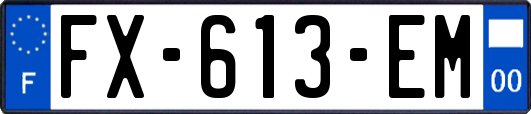 FX-613-EM