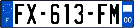 FX-613-FM