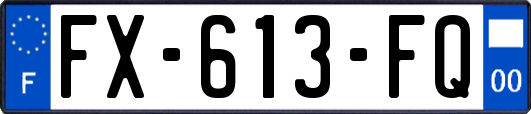 FX-613-FQ