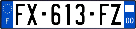 FX-613-FZ