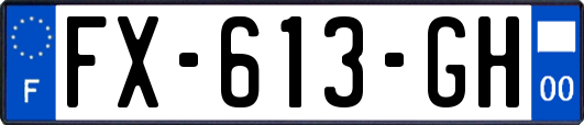 FX-613-GH