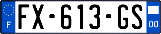 FX-613-GS