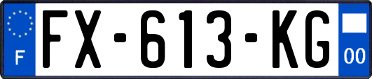 FX-613-KG
