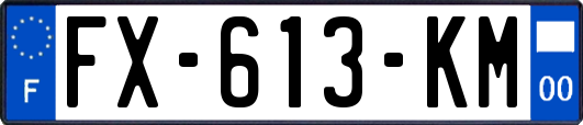 FX-613-KM