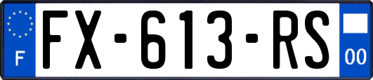 FX-613-RS