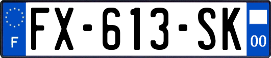 FX-613-SK