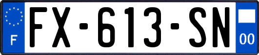FX-613-SN