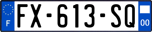 FX-613-SQ