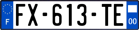 FX-613-TE