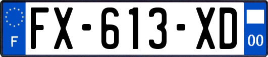 FX-613-XD