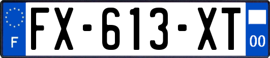 FX-613-XT