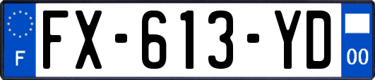 FX-613-YD