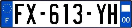 FX-613-YH