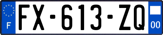 FX-613-ZQ