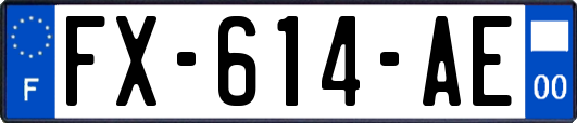 FX-614-AE