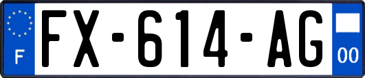 FX-614-AG