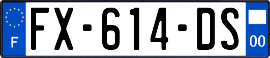 FX-614-DS