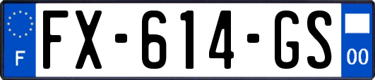 FX-614-GS
