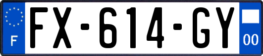FX-614-GY