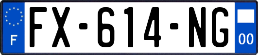 FX-614-NG
