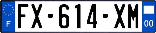 FX-614-XM