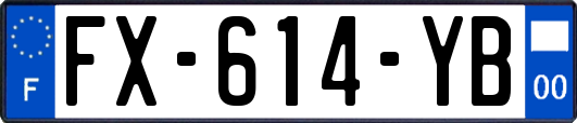 FX-614-YB