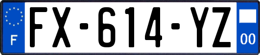 FX-614-YZ