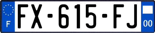 FX-615-FJ